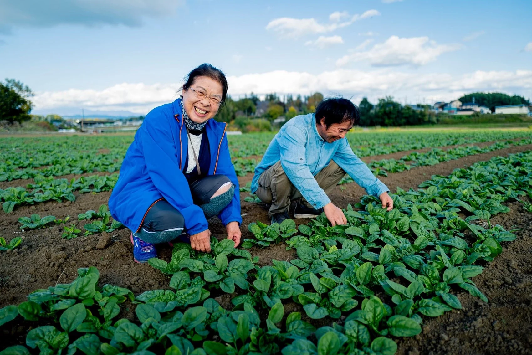 dale — Portrait of a grower in the fields