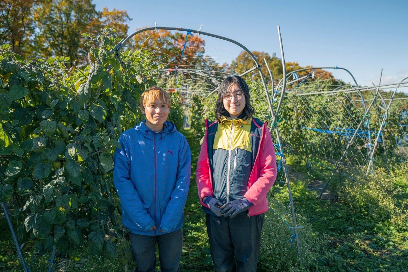 dale — Portrait of a grower in the fields