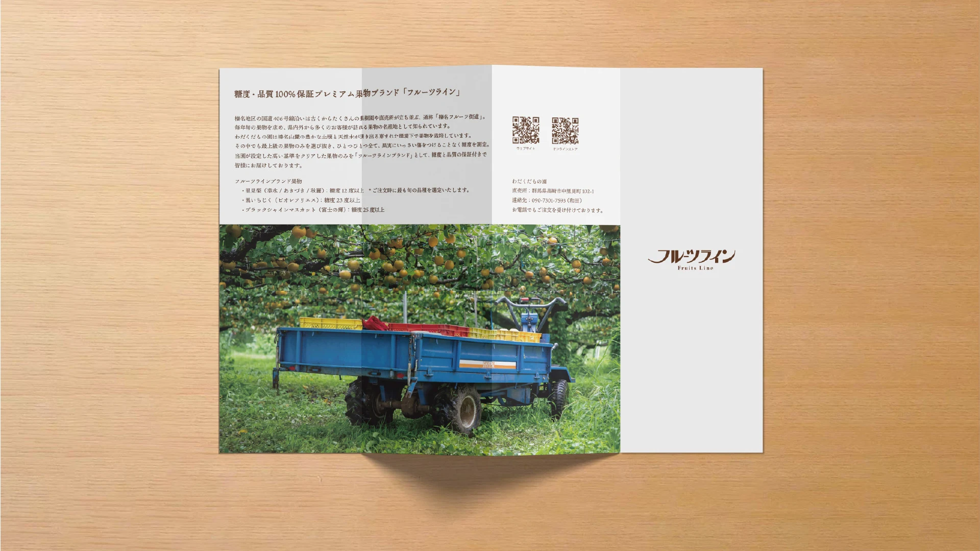 fruitsline — Printed brand brochure
