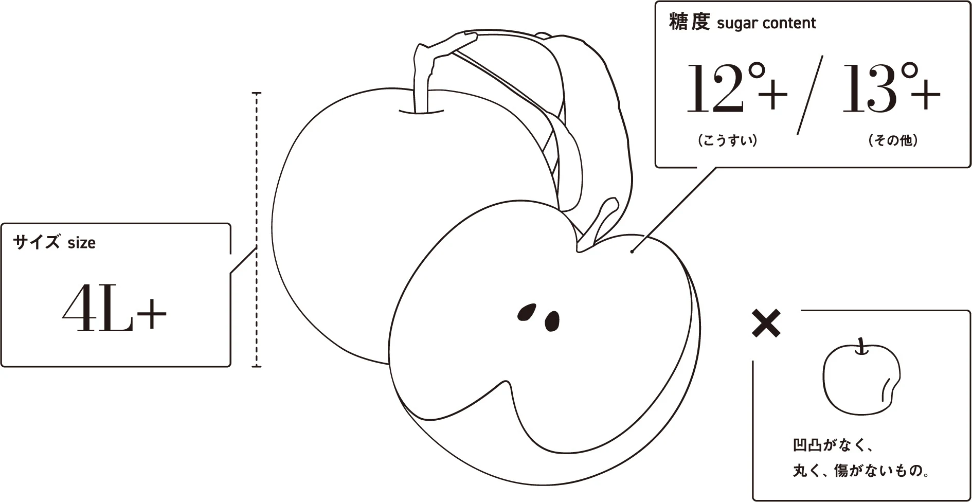 fruitsline — Pear quality standard illustration