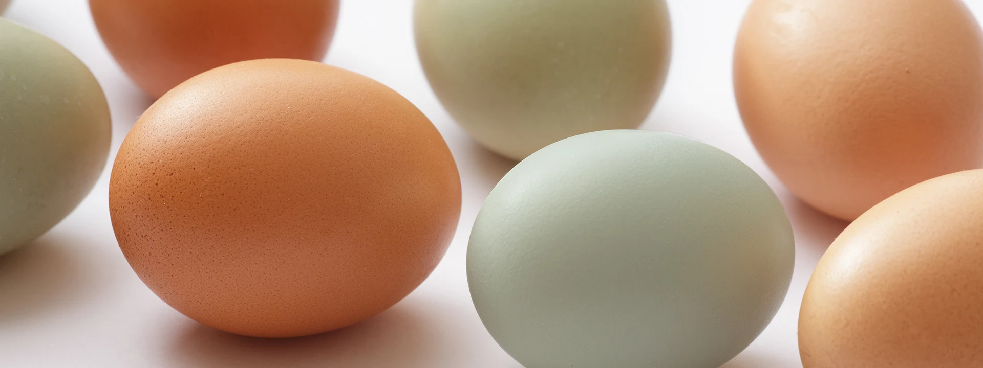 issenka — Eggs used in the confectionery